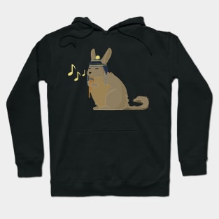 Viscacha Music (Yellow Notes) Hoodie